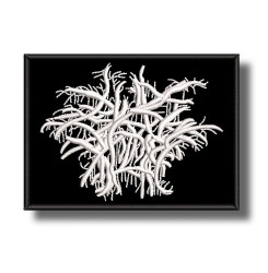 black-bile-embroidered-patch-antsiuvas