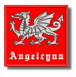 saxon-dragon-embroidered-patch-antsiuvas