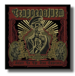 truppensturm-embroidered-patch-antsiuvas